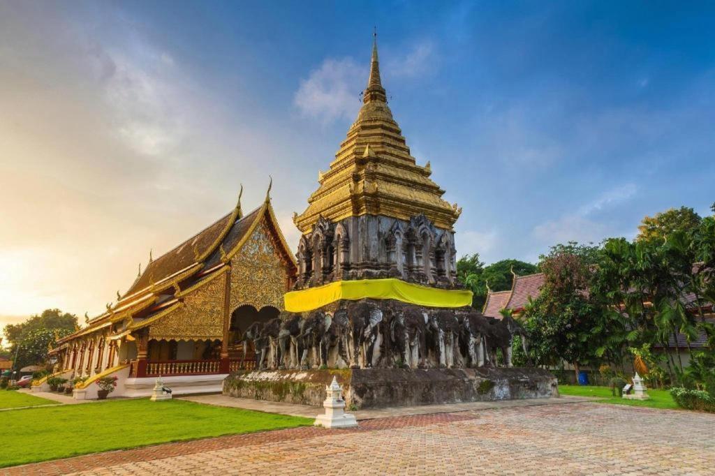 The Y House Hotel Chiang Mai Exterior photo